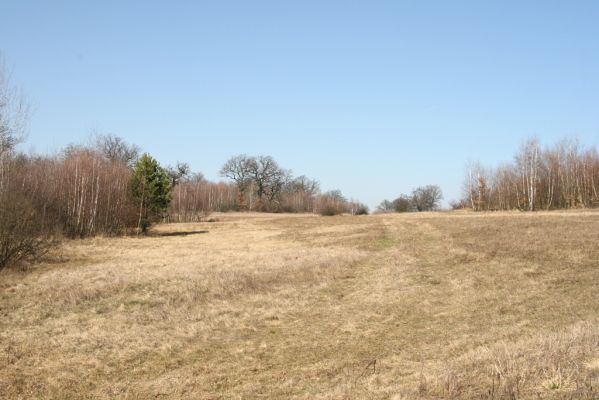 Dobrá Niva, 14.3.2014
Gavurky, starý pastevní les. Centrální část, zarůstající východní svah.
Klíčová slova: Dobrá Niva Gavurky