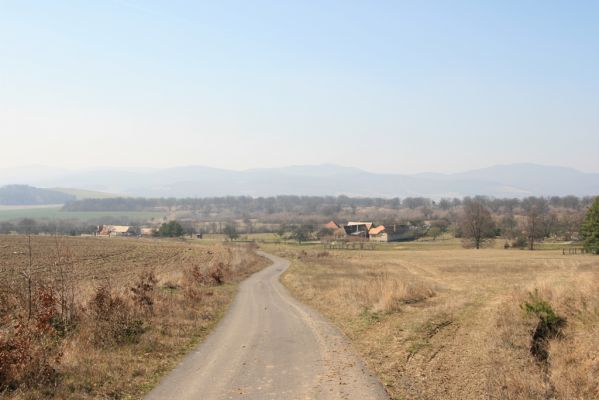 Sása, 14.3.2014
Podskalka, cesta z doliny Lomnianskeho potoka.
Klíčová slova: Sása Podskalka