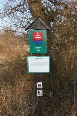 Dobrá Niva, 14.3.2014
Gavurky, starý pastevní les. Jižní část.
Klíčová slova: Dobrá Niva Gavurky