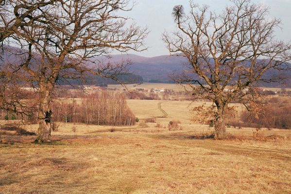 Dobrá Niva, 20.3.2003
Gavurky, starý pastevní les. Jižní část. Cesta na Podskalku.



Klíčová slova: Dobrá Niva Gavurky