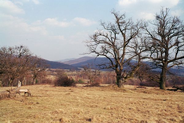 Dobrá Niva, 20.3.2003
Gavurky, starý pastevní les. Jižní část.



Klíčová slova: Dobrá Niva Gavurky