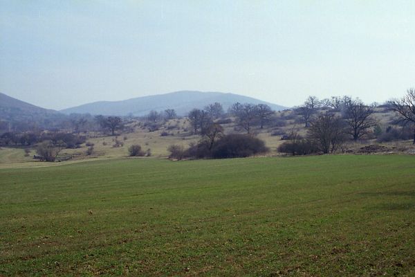 Dobrá Niva, 30.3.2003
Gavurky, starý pastevní les. Centrální část - severozápadní svah.

Klíčová slova: Dobrá Niva Gavurky