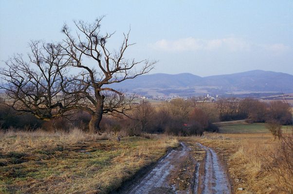 Dobrá Niva, 30.3.2003
Gavurky, cesta okolo bývalého kravína.



Klíčová slova: Dobrá Niva Gavurky
