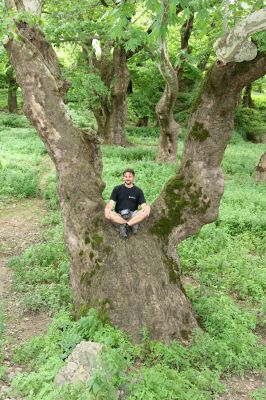 Gorna Breznica, 24.6.2010
Václav na starobylém platanovém trůnu.
Klíčová slova: Gorna Breznica Václav Dušánek Ischnodes sanguinicollis