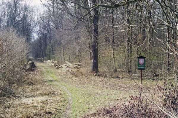 Grygov, 12.3.2002
Království, lužní les.


Klíčová slova: Grygov Království Brachygonus megerlei