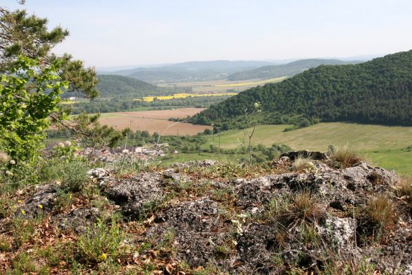 Vihorlat, Humenský Sokol, 11.5.2013
Pohled ze skal nad skalní stěnou na Ondavskú vrchovinu.
Mots-clés: Humenné Vihorlat Humenský Sokol Anostirus atropilosus