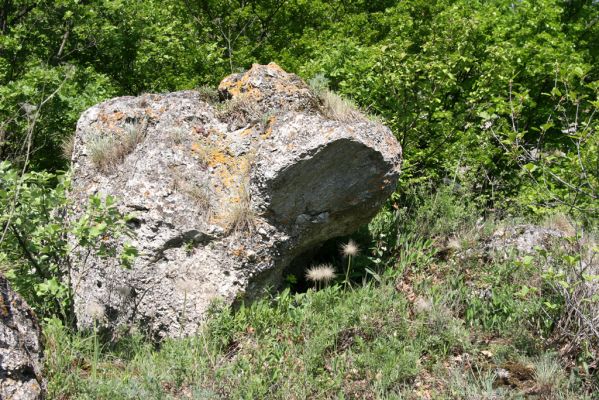 Vihorlat, Humenský Sokol, 11.5.2013
Skály nad skalní stěnou.



Klíčová slova: Humenné Vihorlat Humenský Sokol Anostirus atropilosus