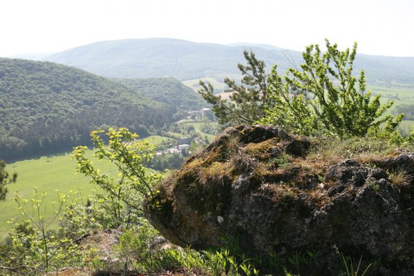 Vihorlat, Humenský Sokol, 11.5.2013
Pohled ze skal nad skalní stěnou na Vihorlat.



Klíčová slova: Humenné Vihorlat Humenský Sokol Anostirus atropilosus