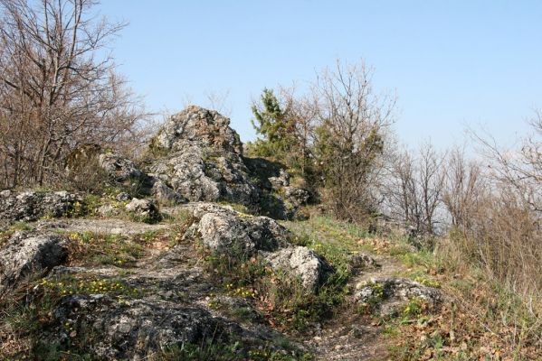 Vihorlat, Humenský Sokol, 22.4.2013
Červená skala.


Schlüsselwörter: Humenné Vihorlat Humenský Sokol Červená skala Anostirus atropilosus