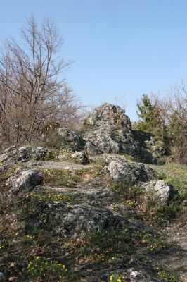 Vihorlat, Humenský Sokol, 22.4.2013
Červená skala.



Schlüsselwörter: Humenné Vihorlat Humenský Sokol Červená skala Anostirus atropilosus