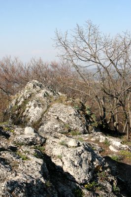 Vihorlat, Humenský Sokol, 22.4.2013
Červená skala.


Schlüsselwörter: Humenné Vihorlat Humenský Sokol Červená skala Anostirus atropilosus