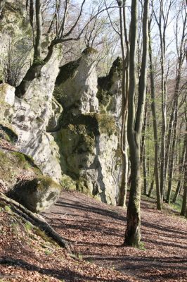 Vihorlat, Humenský Sokol, 22.4.2013
Dúpna jaskyňa



Klíčová slova: Humenné Vihorlat Humenský Sokol Dúpna jaskyňa