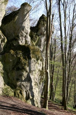 Vihorlat, Humenský Sokol, 22.4.2013
Dúpna jaskyňa.


Schlüsselwörter: Humenné Vihorlat Humenský Sokol Dúpna jaskyňa