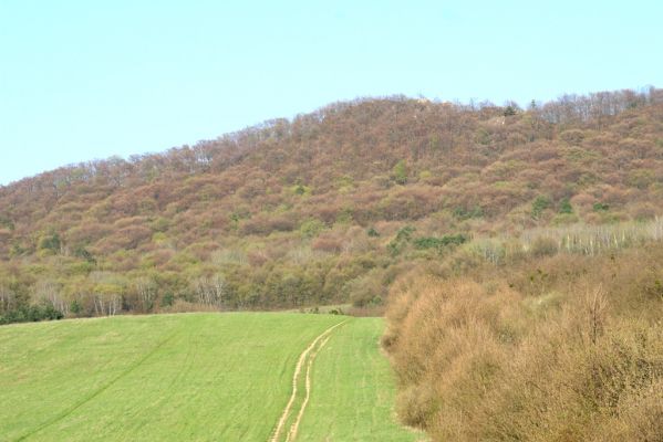 Vihorlat, Humenský Sokol, 22.4.2013
Červená skala od Jasenova.
 


Schlüsselwörter: Humenné Vihorlat Humenský Sokol Červená skala