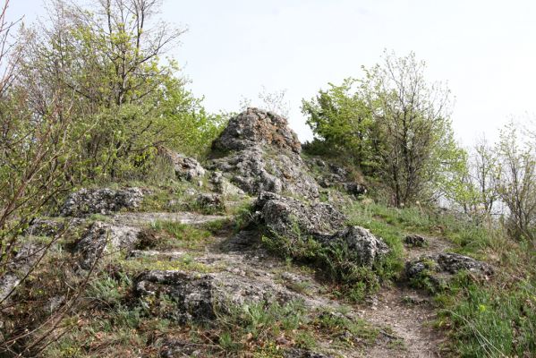 Vihorlat, Humenský Sokol, 27.4.2013
Červená skala.



Klíčová slova: Humenné Vihorlat Humenský Sokol Červená skala Anostirus atropilosus