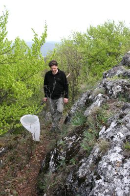 Vihorlat, Humenský Sokol, 27.4.2013
Červená skala. Václav na lovu kovaříka Anostirus atropilosus...


Klíčová slova: Humenné Vihorlat Humenský Sokol Červená skala Anostirus atropilosus Dušánek