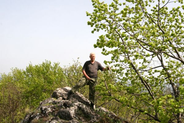 Vihorlat, Humenský Sokol, 27.4.2013
Červená skala. Takto se chytá Anostirus atropilosus bez síťky...

Klíčová slova: Humenné Vihorlat Humenský Sokol Červená skala Anostirus atropilosus Mertlik