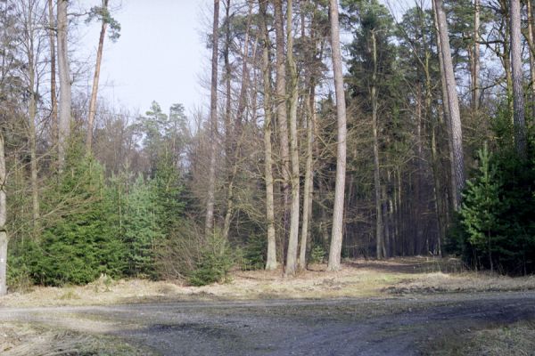 Hradec Králové, 6.3.2002
Rezervace Sítovka.


Klíčová slova: Hradec Králové Sítovka