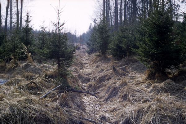 Hradec Králové, 6.3.2002
Rezervace Černá Stráň



Klíčová slova: Hradec Králové Černá Stráň
