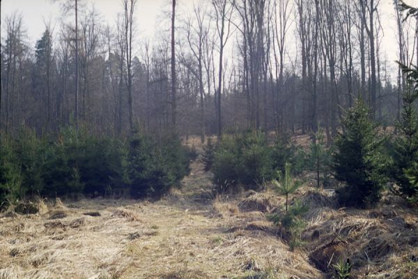 Hradec Králové, 6.3.2002
Rezervace Černá Stráň. 



Klíčová slova: Hradec Králové Černá Stráň