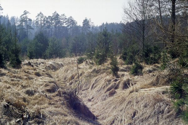 Hradec Králové, 6.3.2002
Pod Císařskou studánkou - odvodňovací kanál.



Klíčová slova: Hradec Králové Císařská studánka