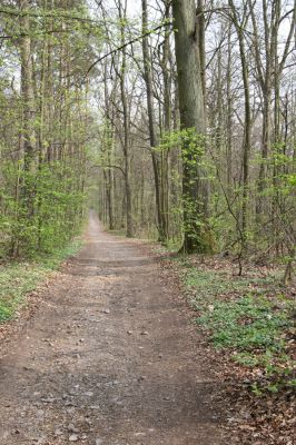 Heřmanův Městec, 19.4.2012
Přírodní park Heřmanův Městec.



Klíčová slova: Heřmanův Městec přírodní park