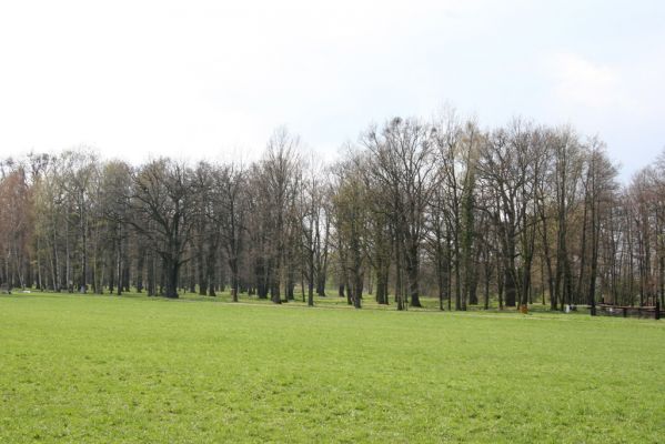 Heřmanův Městec, 19.4.2012
Městský park na území bývalé Bažantnice.
Keywords: Heřmanův Městec městský park bývalá Bažantnice