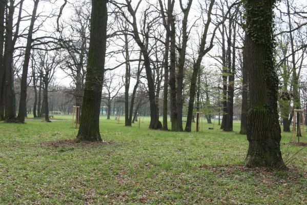 Heřmanův Městec, 19.4.2012
Městský park na území bývalé Bažantnice.
Klíčová slova: Heřmanův Městec městský park bývalá Bažantnice
