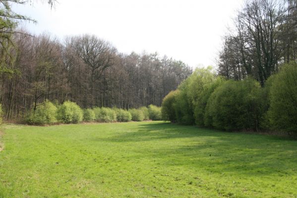Heřmanův Městec, 19.4.2012
Přírodní park Heřmanův Městec.



Klíčová slova: Heřmanův Městec přírodní park