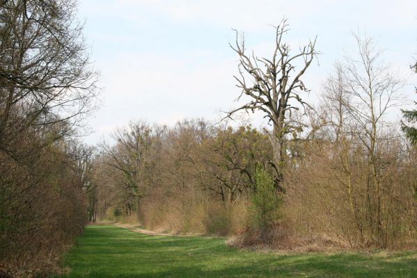 Heřmanův Městec, 19.4.2012
Přírodní park Heřmanův Městec.



Klíčová slova: Heřmanův Městec přírodní park
