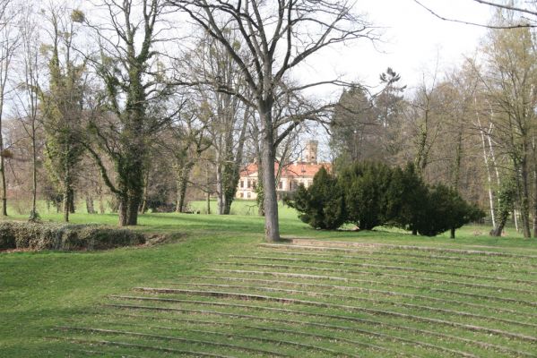 Heřmanův Městec, 19.4.2012
Zámecký park.



Klíčová slova: Heřmanův Městec zámecký park