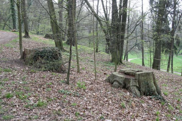 Heřmanův Městec, 19.4.2012
Zámecký park – Stará obora.



Klíčová slova: Heřmanův Městec Zámecký park Stará obora