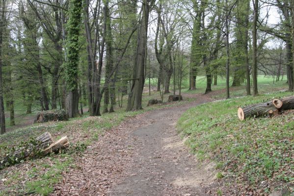 Heřmanův Městec, 19.4.2012
Zámecký park – Stará obora.



Klíčová slova: Heřmanův Městec Zámecký park Stará obora