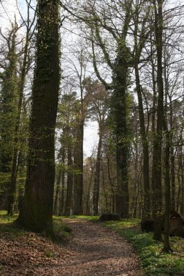 Heřmanův Městec, 19.4.2012
Zámecký park – Stará obora.



Klíčová slova: Heřmanův Městec Zámecký park Stará obora