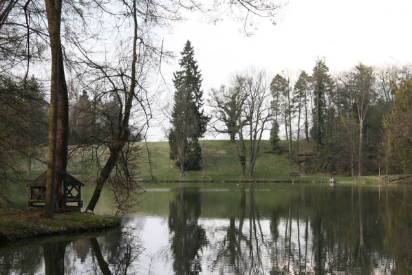 Heřmanův Městec, 19.4.2012
Zámecký park – Stará obora. Zámecký rybník.


Klíčová slova: Heřmanův Městec Zámecký park Stará obora