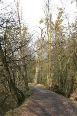 Heřmanův Městec, 19.4.2012
Zámecký park – Stará obora. U Zámeckého rybníka.



Klíčová slova: Heřmanův Městec Zámecký park Stará obora