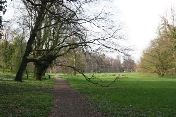 Heřmanův Městec, 19.4.2012
Zámecký park.



Klíčová slova: Heřmanův Městec zámecký park