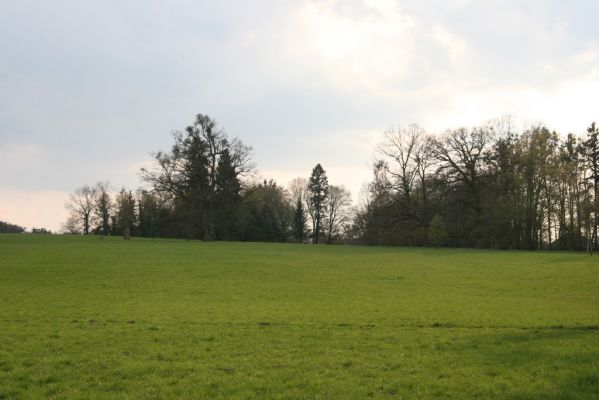 Heřmanův Městec, 19.4.2012
Zámecký park.



Klíčová slova: Heřmanův Městec zámecký park