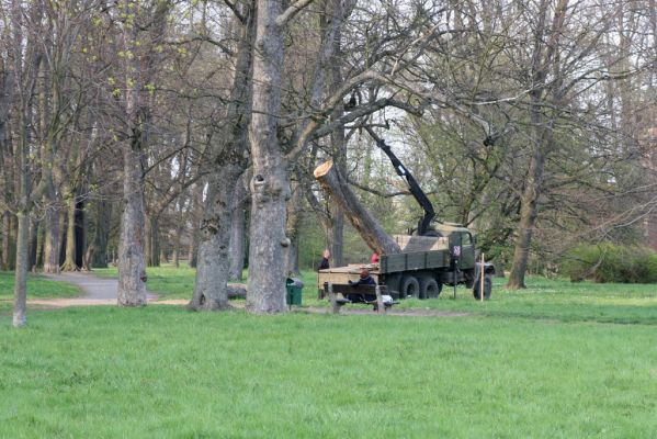 Heřmanův Městec, 19.4.2012
Zámecký park.



Klíčová slova: Heřmanův Městec zámecký park