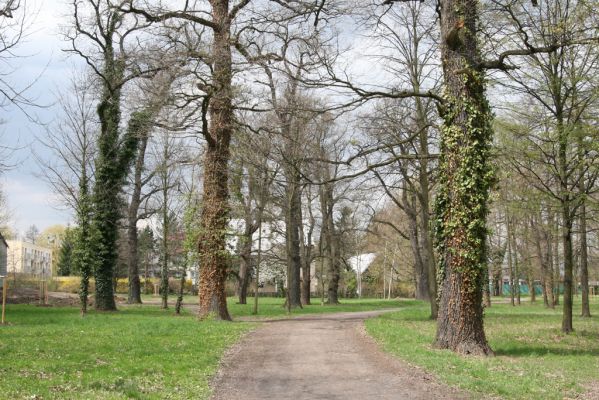 Heřmanův Městec, 19.4.2012
Městský park na území bývalé Bažantnice.



Klíčová slova: Heřmanův Městec městský park bývalá bažantnice