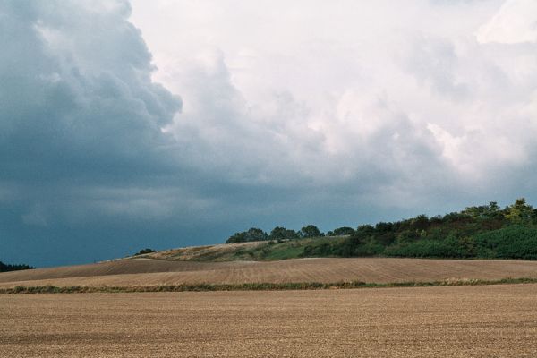 Habřina - vrch Prašivka, 27.8.2006
Pozůstatky formací suchých trávníků na jihozápadních svazích vrchu Prašivka.
Keywords: Habřina vrch Prašivka