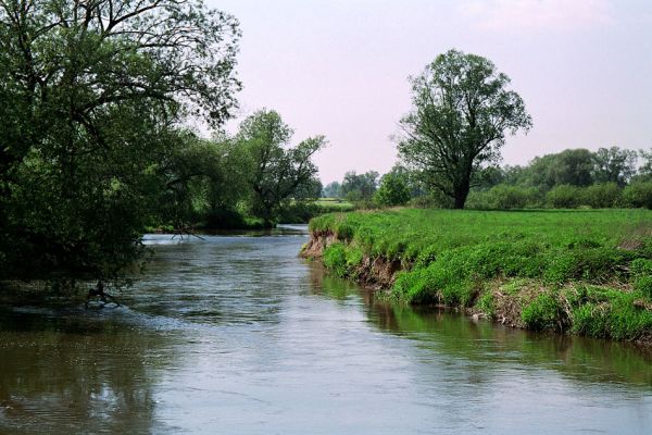 Háj ve Slezsku, Opava, 25.5.2005
Meandry řeky Opavy. 
Klíčová slova: Háj ve Slezsku Opava