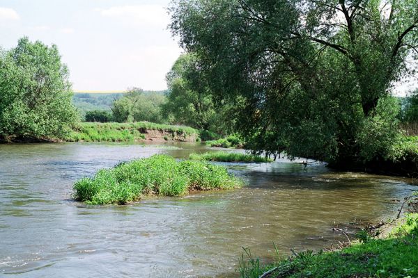 Háj ve Slezsku, Opava, 25.5.2005
Meandry řeky Opavy. 
Klíčová slova: Háj ve Slezsku Opava