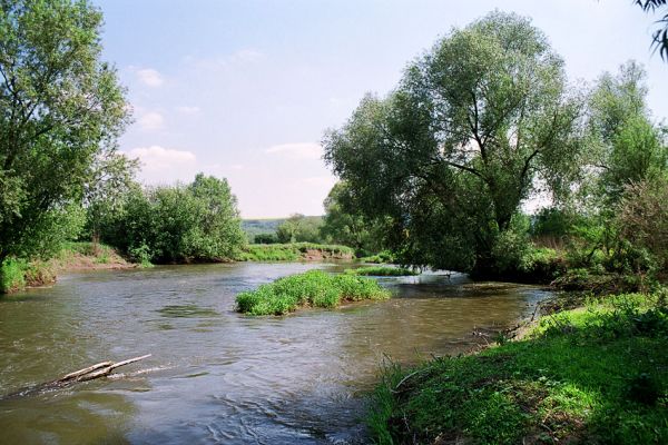 Háj ve Slezsku, Opava, 25.5.2005
Meandry řeky Opavy. 
Klíčová slova: Háj ve Slezsku Opava