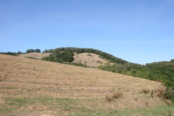 Hajnáčka, 28.9.2012
Cerová vrchovina - vrch Zaboda od Hajnáčky.
Mots-clés: Hajnáčka Cerová vrchovina vrch Zaboda