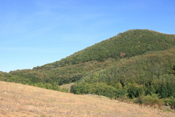 Hajnáčka, 28.9.2012
Cerová vrchovina - vrch Ragáč. Pohled od Bukové.
Mots-clés: Hajnáčka Cerová vrchovina vrch Ragáč