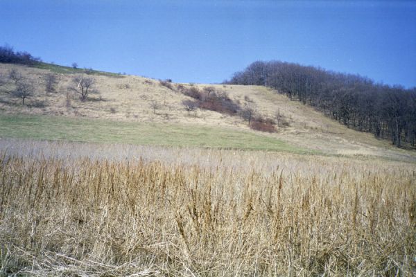 Hajnáčka, 30.3.2002
Les nad sedlem pod vrchem Zaboda.



Klíčová slova: Hajnáčka Zaboda