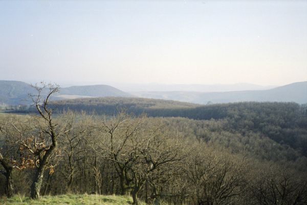 Hajnáčka, 30.3.2002
Pohled od Ostré skaly na jih.
Keywords: Hajnáčka Ostrá skala