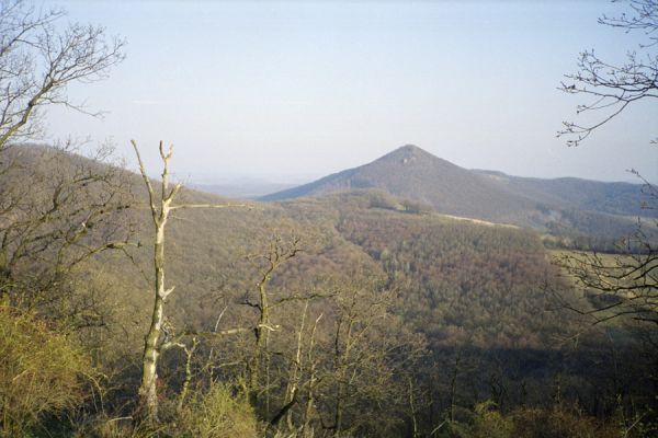Hajnáčka, 30.3.2002
Pohled z Ostré skaly na Ragáč.



Keywords: Hajnáčka Ostrá skala Ragáč Cardiophorus anticus