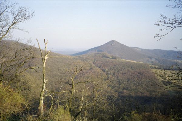 Hajnáčka, 30.3.2002
Pohled z Ostré skaly na Ragáč.



Schlüsselwörter: Hajnáčka Ostrá skala Ragáč Cardiophorus anticus